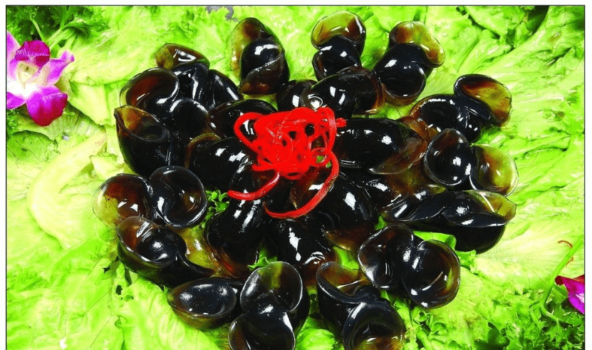 blob.png blob.png