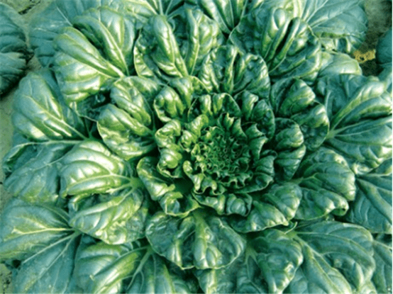 image.png image.png