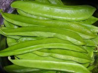 刀豆的功效与作用是什么?如何栽培刀豆长势更好？
