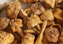 姬松茸的功能成分介绍！姬松茸的营养成分揭晓！