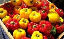 彩色柿子椒是转基因食物吗?柿子椒又有哪些你所不知道的颜色？