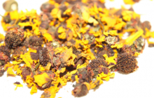 雪菊多少钱一斤?这里有最全的雪菊价格行情介绍!