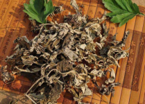 艾叶熏蒸有何疗效？带你认识小小艾叶能起到的大作用！