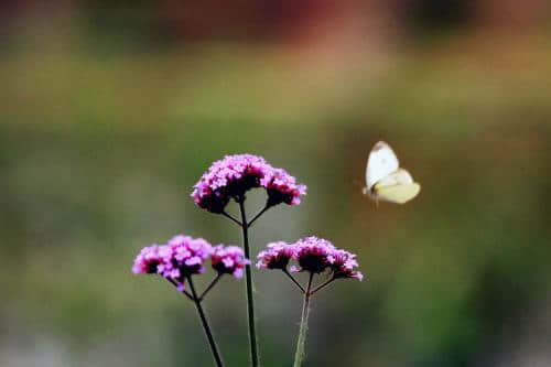 u=3092526675,3110518262&fm=26&gp=0.jpg u=3092526675,3110518262&fm=26&gp=0.jpg