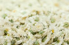 杭白菊和胎菊的区别是什么？教你简单区别这两者！