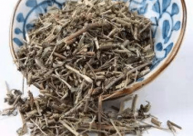 透骨草有多少种？透骨草的常用种类介绍！