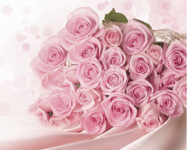 19朵粉玫瑰代表什么?带你了解它美妙浪漫的含义! 