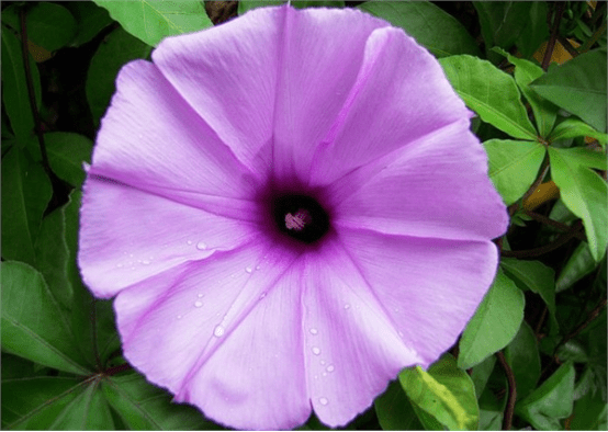 image.png image.png