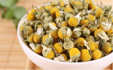 洋甘菊性寒吗？洋甘菊茶是凉性茶，这几类人不可饮用!