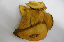 虎杖对皮肤有什么作用?想要皮肤变得白皙动人，虎杖有着神奇的功效哦!