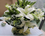 香水百合花开过怎么剪?教你修剪出来年开花的香水百合!