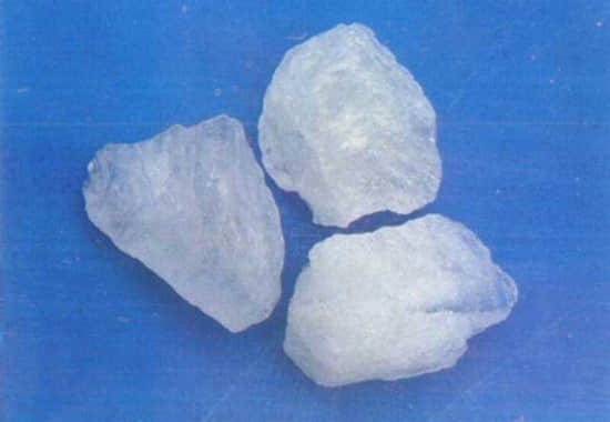 皂刺啊5_副本.jpg 皂刺啊5_副本.jpg