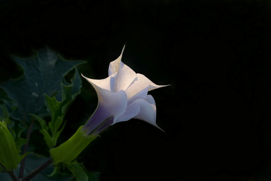 image.png image.png