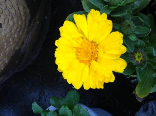 u=3273894736,847484532&fm=26&gp=0.jpg u=3273894736,847484532&fm=26&gp=0.jpg