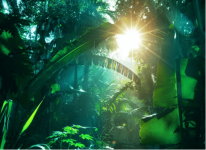热带植物有哪些?小编带你看种类丰富的热带植物世界!