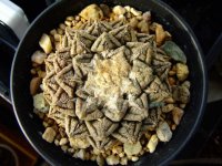 龟甲牡丹到底什么价格？有多贵？带你认识这种昂贵的多肉植物！