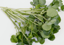 豆瓣菜怎么储存保鲜时间更长久？豆瓣菜可以怎么吃？豆瓣菜的各类做法介绍！