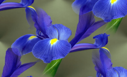 image.png image.png