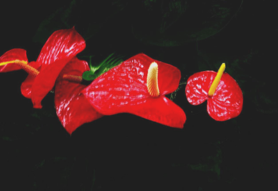 image.png image.png