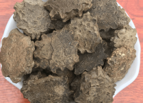 木鳖子的功效与作用是什么？它是止痛的好药材，肿痛炎症都能
