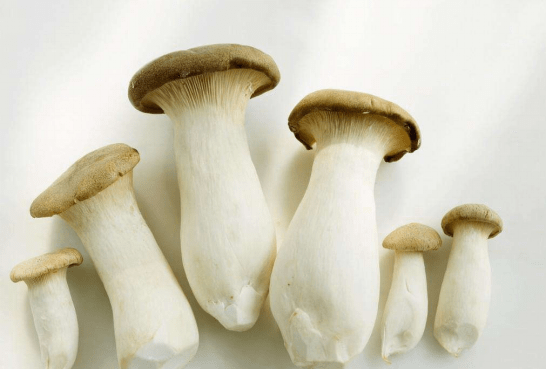 图片1 同食.png 图片1 同食.png