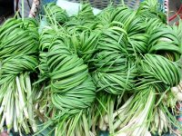 野葱可以经常食用吗?经常食用的背后隐藏着这样的功效!