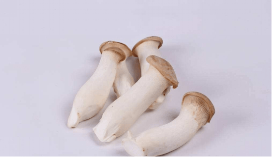 图片3松茸.png 图片3松茸.png