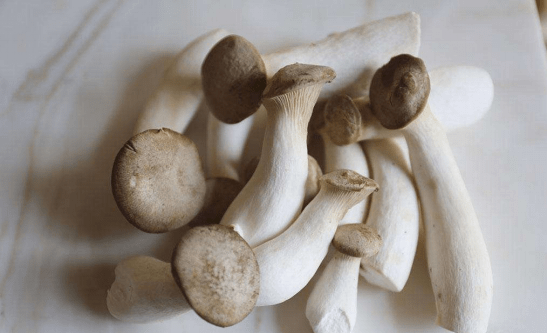 图片1 松茸.png 图片1 松茸.png