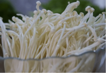 金针菇怎么做好吃?金针菇鲜美汤品做法介绍!