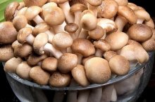 你知道肉炒蟹味菇的做法吗？简单又好吃的肉炒蟹味菇的做法介绍！