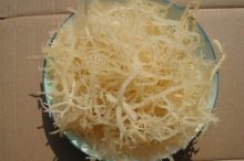 你知道鹿角菜的功效和作用吗？这样吃鹿角菜可以保留更多的营养！