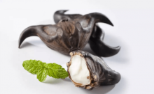 菱角粉什么人不可以吃?知道这些放心大胆食用菱角粉!