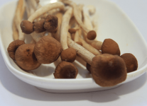 吃茶树菇的注意事项介绍！吃茶树菇一定要注意这几点！
