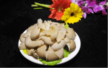 平菇瘦肉汤怎么做好吃?教你如何做出好吃又营养的平菇汤!