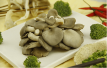 平菇汤怎么做?简单易学的家常平菇汤做法大全!