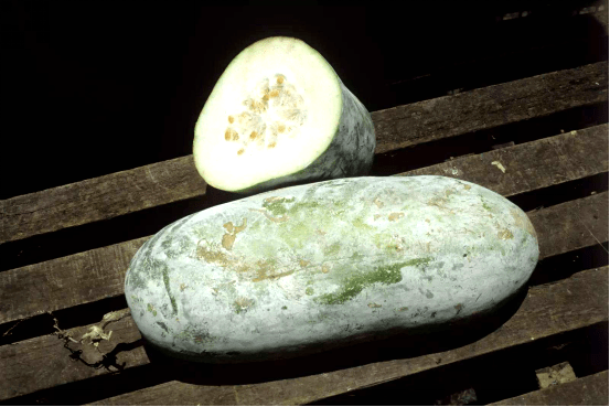 blob.png blob.png