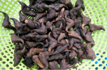 胃疼能不能吃菱角粉?了解这些放心吃菱角美味！