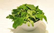灰条菜怎么晒干?如何保存灰条菜?