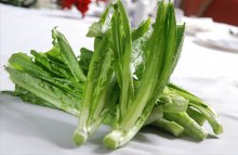 你还在纠结油麦菜和莴笋叶到底哪里不同吗？快来看看区别在哪里吧！