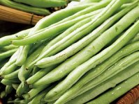 四季豆的功效作用与禁忌介绍！四季豆都有哪些家常做法?