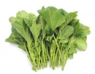 冬寒菜怎么做好吃呢?冬寒菜有哪些做法?
