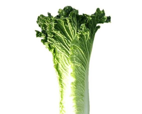 image.png image.png