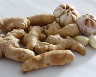 生姜外敷是良药？带你了解小生姜的大作用！