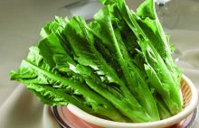 油麦菜的功效和作用这么多呀？油麦菜的功效和作用介绍！看了不后悔！