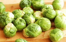 孢子甘蓝哪里有卖?喜欢食用孢子甘蓝的朋友绝对不能错过这个地方！