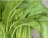 牛皮菜可以降血糖吗?牛皮菜应该怎么种植?