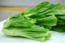 小叶芥菜怎么种植？自己在家也能种植肥美的小叶芥菜！