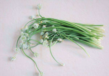野韭菜哪里可以吃?喜欢野韭菜的你一定不要错过哦!