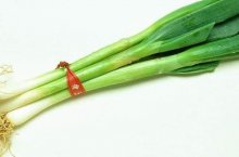 青葱是大葱吗?教你如何一眼就辨出青葱!