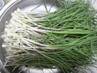 野韭菜能种植吗?种植野韭菜必须要考虑的环境条件有哪些？